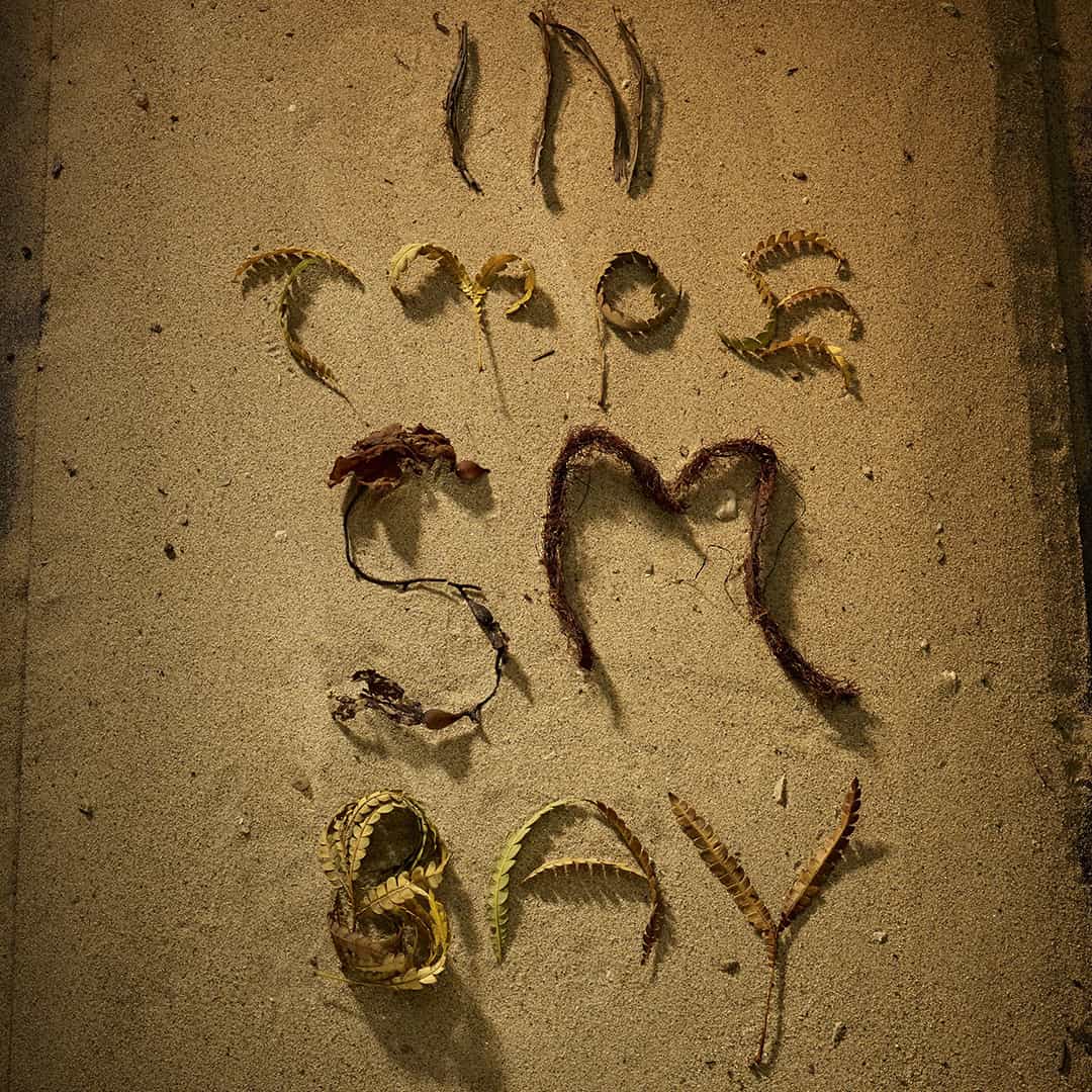 In Type SM Bay Poster