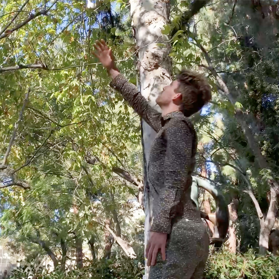 Sycamore Sway — Still From Video